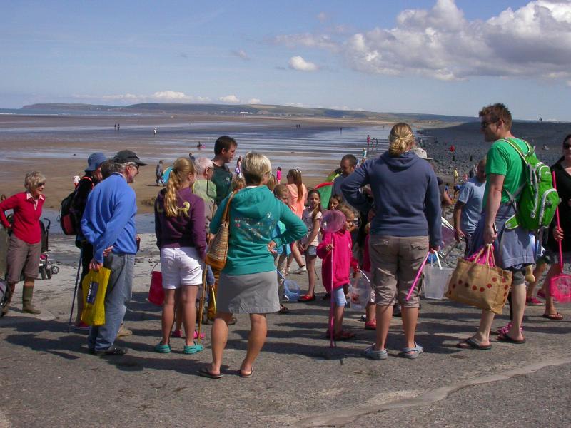 Crabby ? Well, yes and no……at Westward Ho! dscn8580 - W Ho1