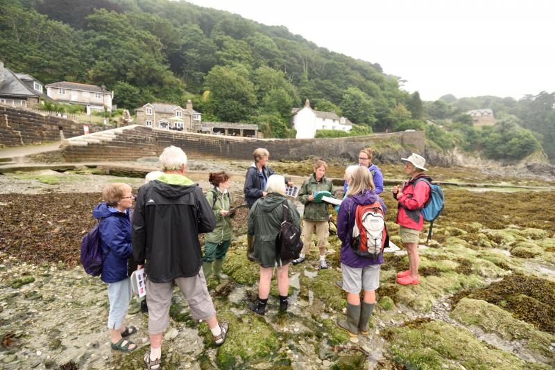 Citizen Science Surveys Shores…….