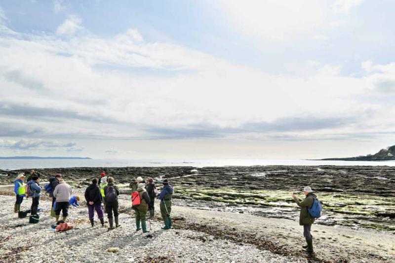 Coastwise went to Looe…….