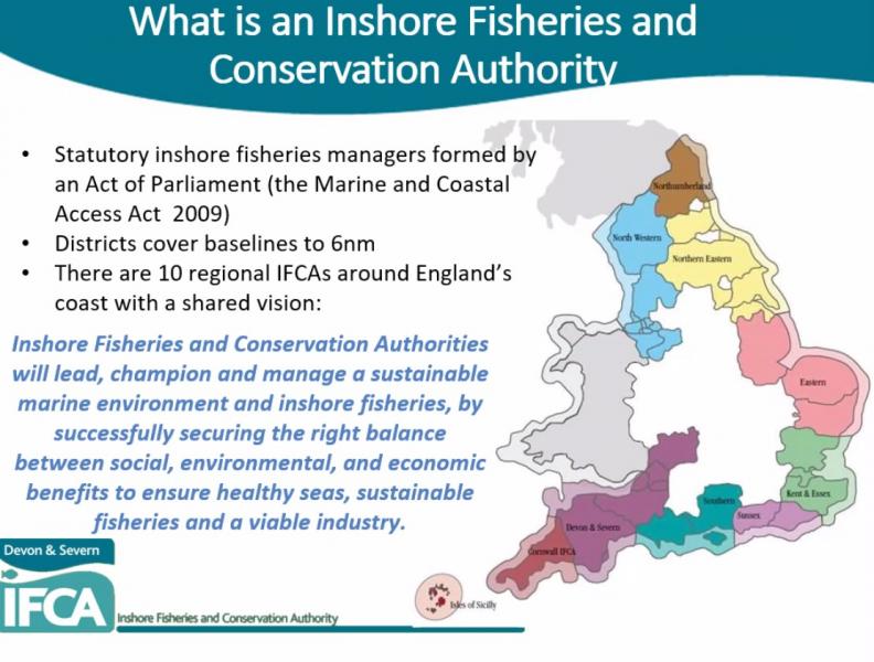 Whelks and Mussels……