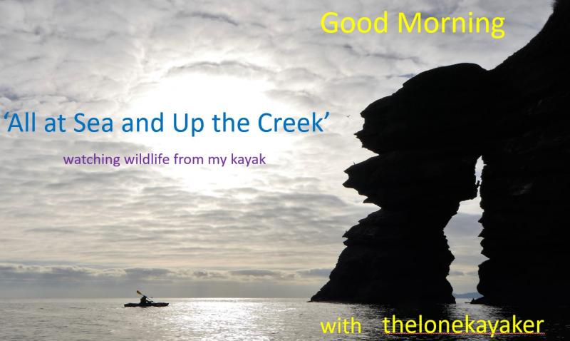 Up the Creek……