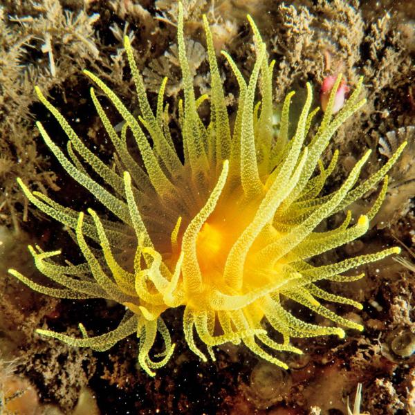 It’s Autumn ! Coastwise’s New Programme Starts Soon…..