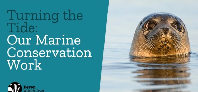 Our Oceans need Protection…….. Our Oceans need Protection……..