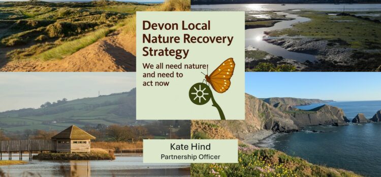 Recovery – We all need it……..