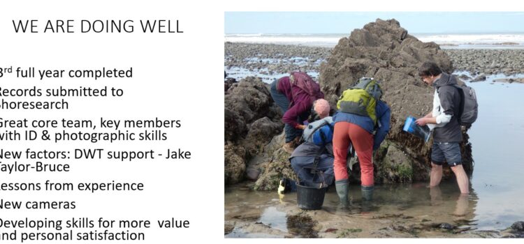 Shore surveys for Citizen Science……