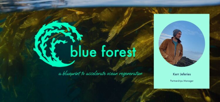 Forestation, but not as we know it……. Forestation, but not as we know it…….