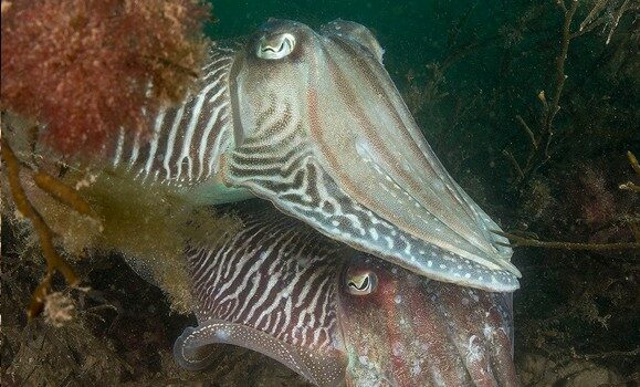 Coastwise Kicks Off 2026 Programme…… Coastwise Kicks Off 2026 Programme……