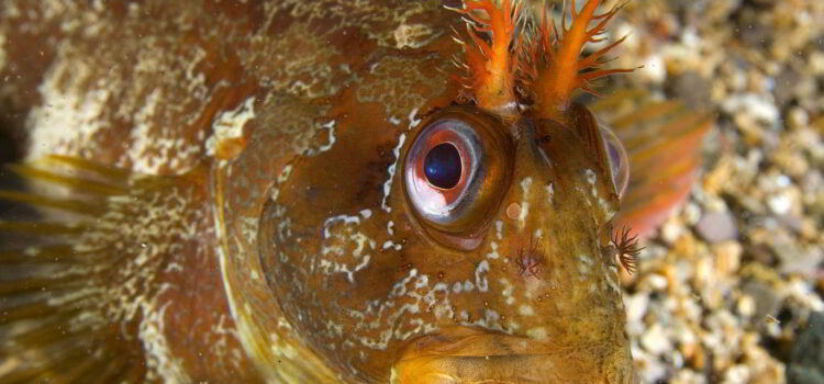 Strange things are going on…..