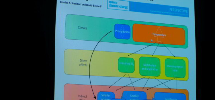 Drawing Conclusions from Past Climate Change Events…….