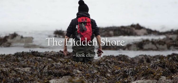 Beware Addictive Lifestyles…….