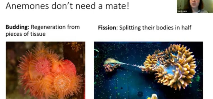 It Was Back to Basics…..